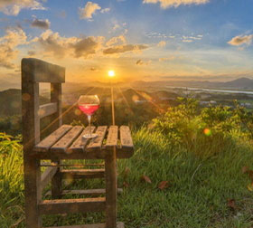 一键下单即得的网站攻击器